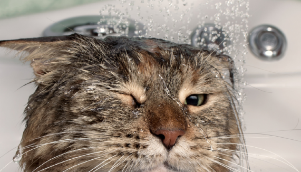 New Project - 2021-05-26T123404.412