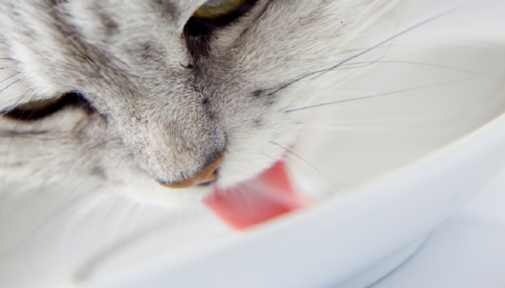 New Project - 2021-05-26T123638.706